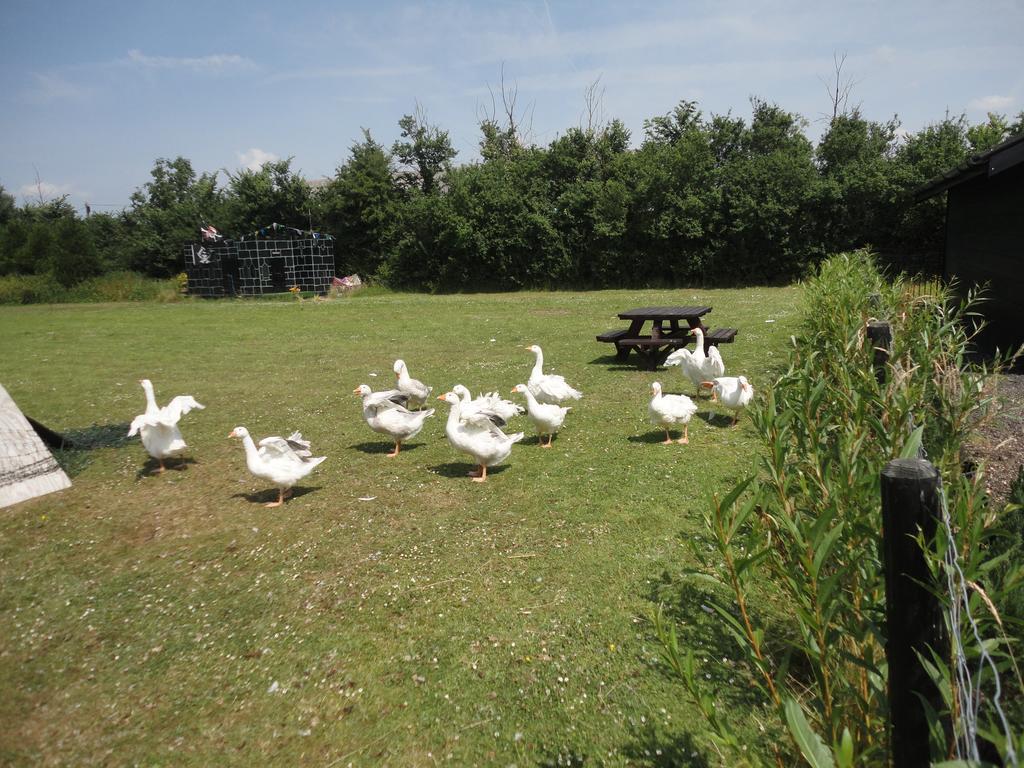 Willow Court Farm The Lodge & Petting Farm, 8 Mins From Legoland & Windsor, 15 Mins From Lapland Uk Luaran gambar