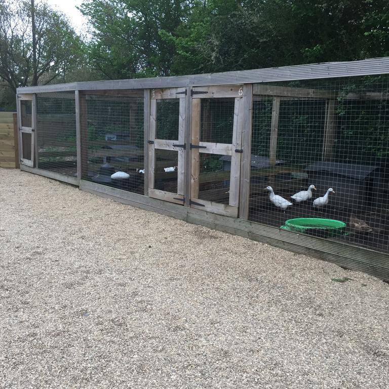 Willow Court Farm The Lodge & Petting Farm, 8 Mins From Legoland & Windsor, 15 Mins From Lapland Uk Luaran gambar