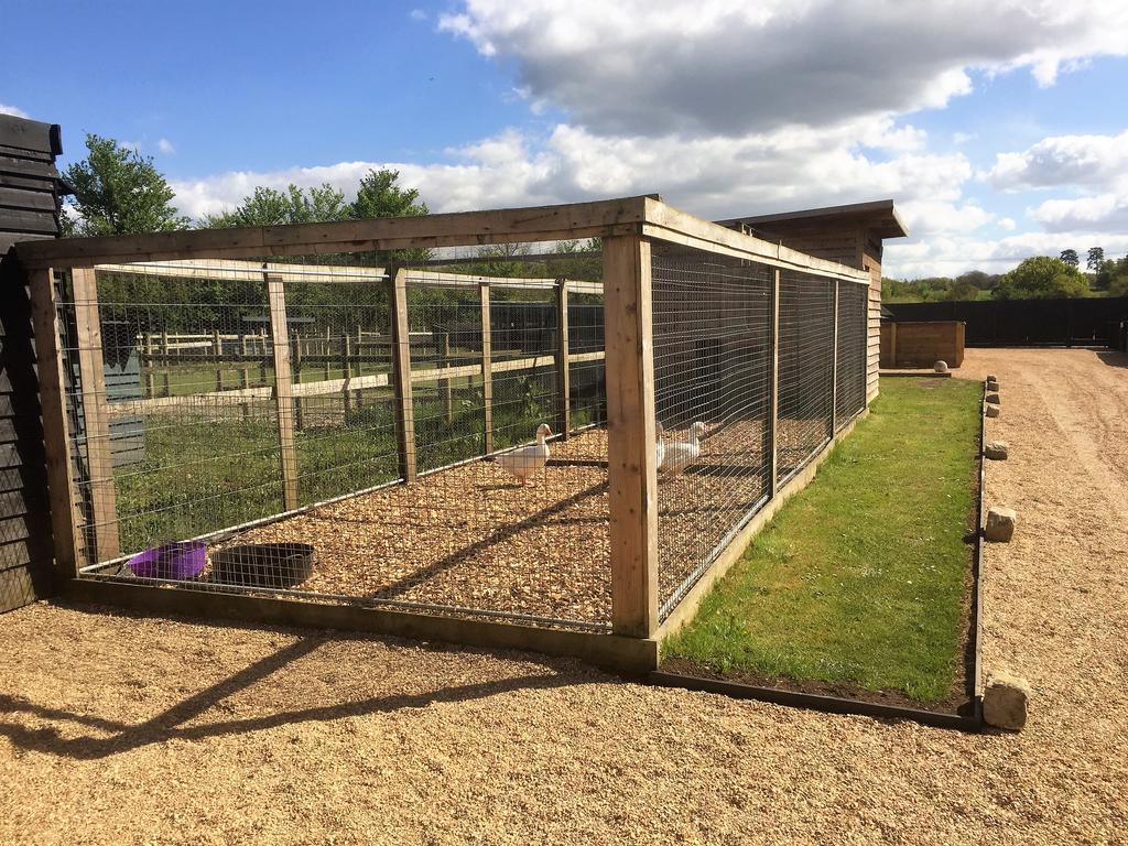 Willow Court Farm The Lodge & Petting Farm, 8 Mins From Legoland & Windsor, 15 Mins From Lapland Uk Luaran gambar