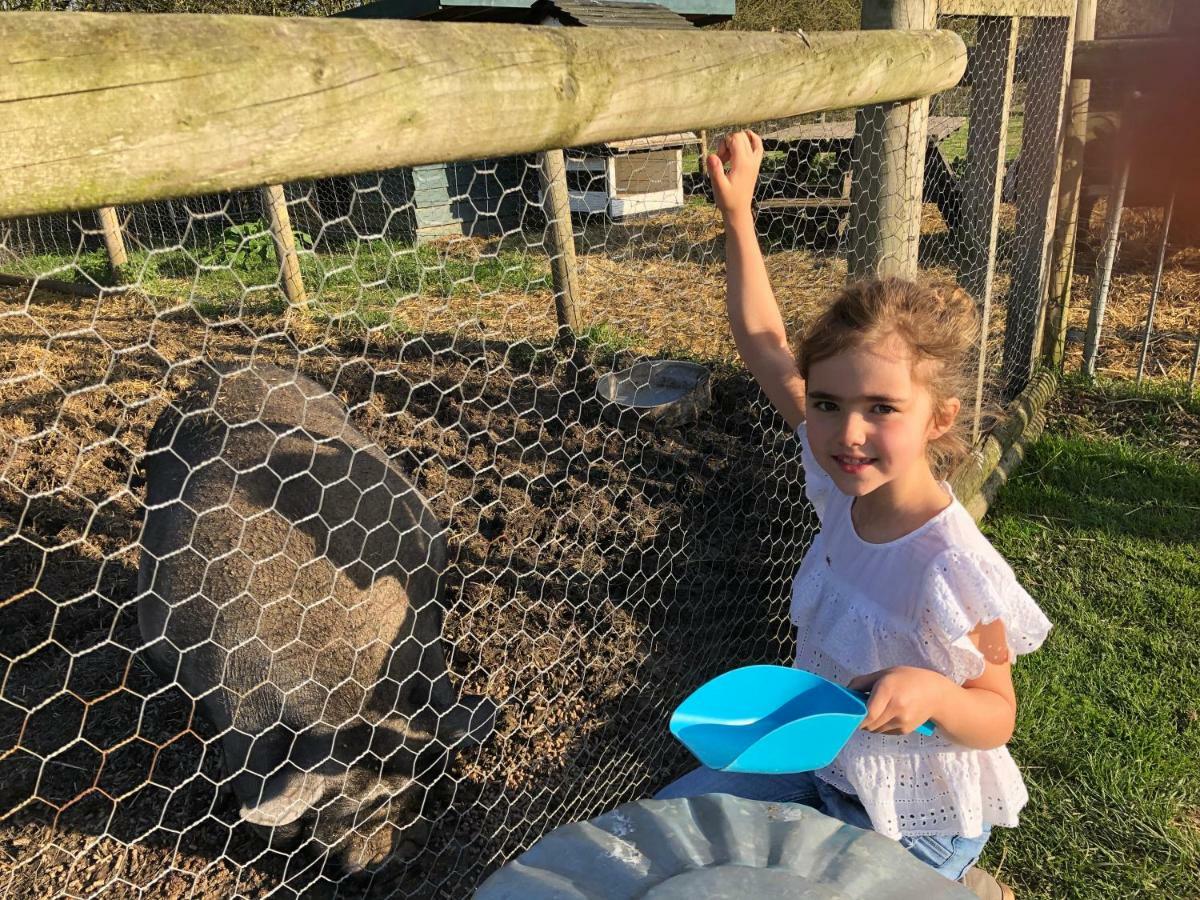 Willow Court Farm The Lodge & Petting Farm, 8 Mins From Legoland & Windsor, 15 Mins From Lapland Uk Luaran gambar