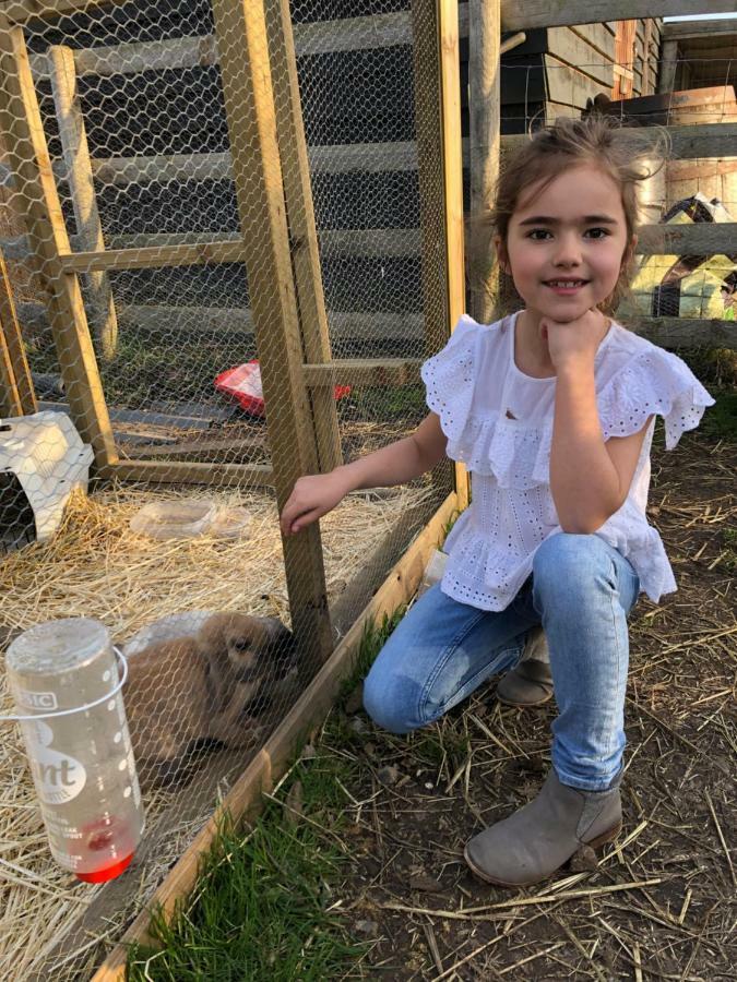 Willow Court Farm The Lodge & Petting Farm, 8 Mins From Legoland & Windsor, 15 Mins From Lapland Uk Luaran gambar