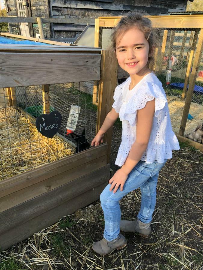 Willow Court Farm The Lodge & Petting Farm, 8 Mins From Legoland & Windsor, 15 Mins From Lapland Uk Luaran gambar
