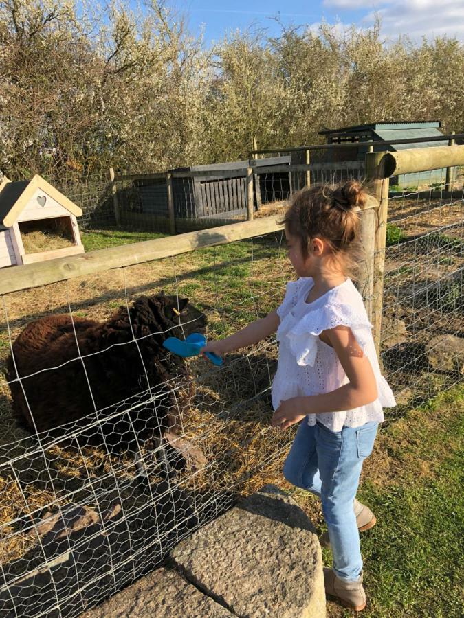 Willow Court Farm The Lodge & Petting Farm, 8 Mins From Legoland & Windsor, 15 Mins From Lapland Uk Luaran gambar