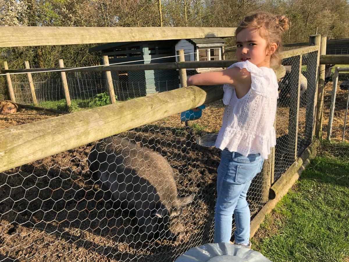 Willow Court Farm The Lodge & Petting Farm, 8 Mins From Legoland & Windsor, 15 Mins From Lapland Uk Luaran gambar