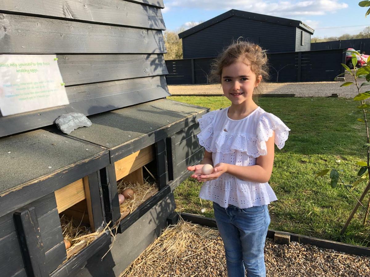 Willow Court Farm The Lodge & Petting Farm, 8 Mins From Legoland & Windsor, 15 Mins From Lapland Uk Luaran gambar